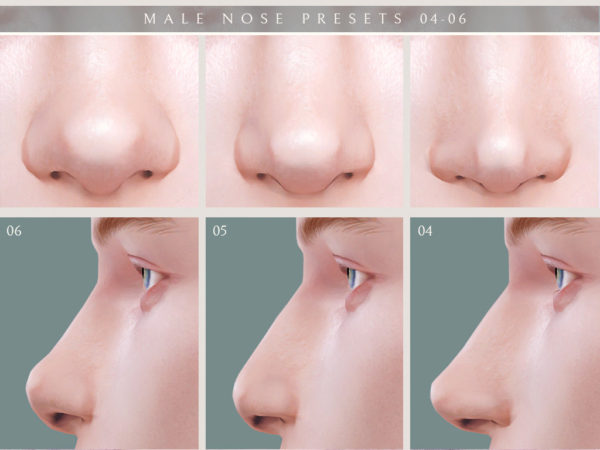 sims 4 set of nose presets for male